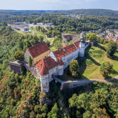 Luftaufnahme einer historischen weißen Burg mit roten Dächern, umgeben von grünen Wäldern und einer Stadt im Hintergrund.