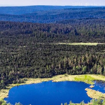 Luftaufnahme eines Sees in einer Waldlandschaft.