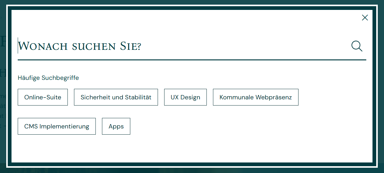 Suchbereich mit Inputfeld und häufige Suchbegriffe