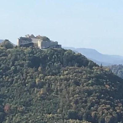 Grün bewachsener Berg mit einer Burganlage.