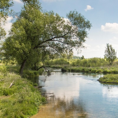 Flusslandschaft mit grünen ufern und Bäumen.
